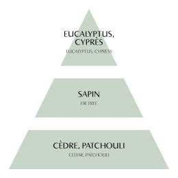 Sachet parfumé Fête Nacrée - Sapin Givré