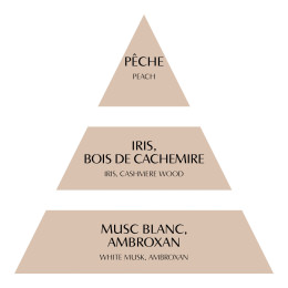 Concentré de parfum d'ambiance Les Intemporelles 4 ml - Bois de Cachemire