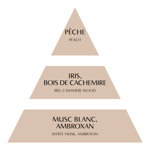 Concentrado de perfume de ambiente Les Intemporelles 4 ml - Madera de Cachemira