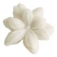 Set of 4 scented wax melts - Kashmir Wood