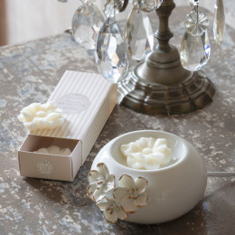 Coffret de 3 décors fondants en cire parfumée - Fleur de Coton