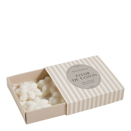 Coffret de 4 adornos fundentes de cera perfumada - Fleur de Coton