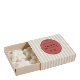 Gift Set of 4 Scented Wax Melts - Fruits des Bois