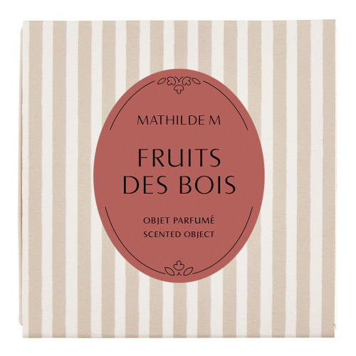 Coffret de 4 décors fondants en cire parfumée - Fruits des Bois