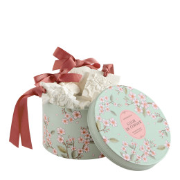 Coffret di 5 décors profumati - Fleur de Cerisier