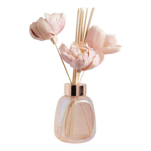 Difusor de perfume de ambiente Douce Pivoine 180 ml - Fruits des Bois