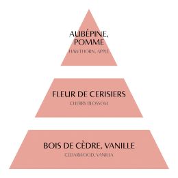 Sachet parfumé - Fleur de Cerisier