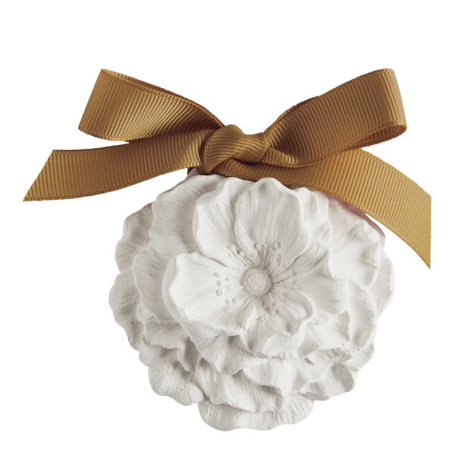 Les Intemporelles scented decoration and fragrance concentrate - Cèdre Éternel