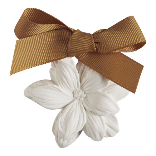 Coffret de 5 décors parfumés - Cèdre Éternel