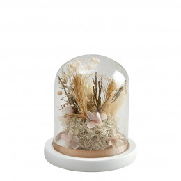 Cloche de fleurs séchées Cabinet des Merveilles - Petit modèle